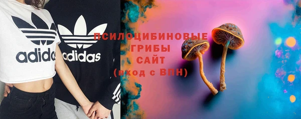 дмт Алексеевка