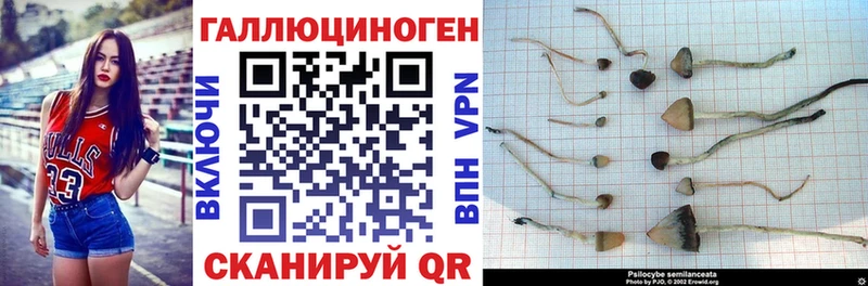 Псилоцибиновые грибы Magic Shrooms  продажа наркотиков  Лебедянь 
