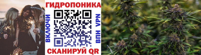 Конопля планчик Лебедянь